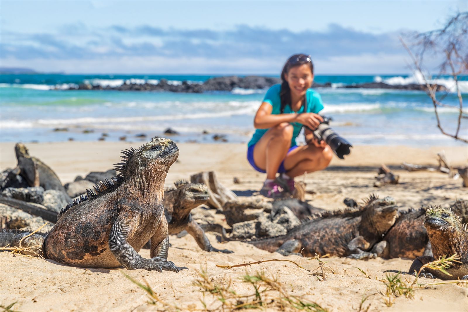 Traveler photographing marine iguanas on a Galapagos beach